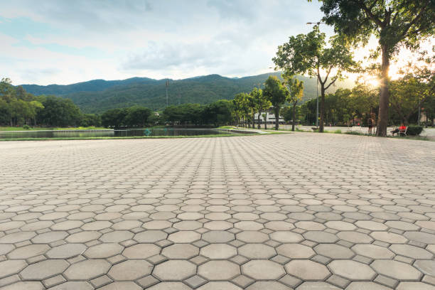 Best Decorative Driveway Pavers  in Centralia, WA