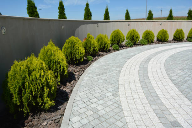 Best Driveway Paving Near Me  in Centralia, WA